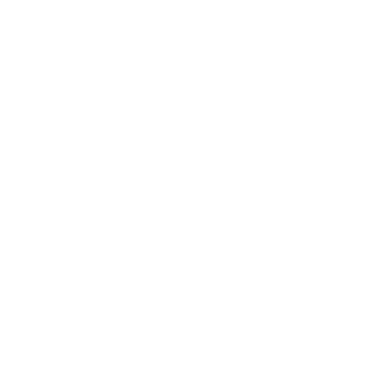 Precision Financial Translation